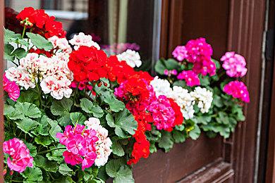 《使命召唤：现代战争3》更新 PC版所有模式都支持DLSS3